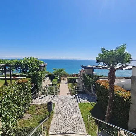 Dolce 2, * Szveti Vlasz