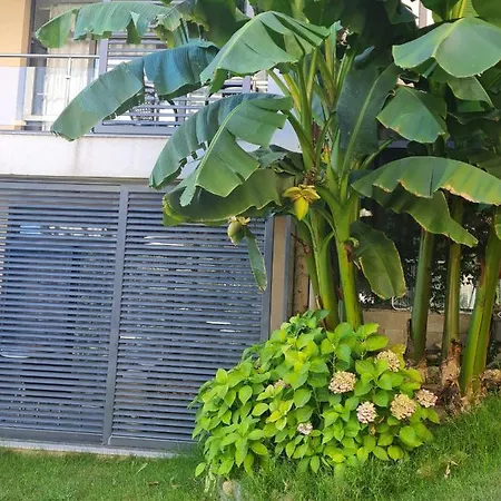 Dolce 2, Apartamento *