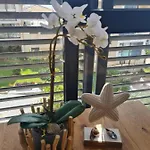 Dolce 2, Apartment Sveti Vlas