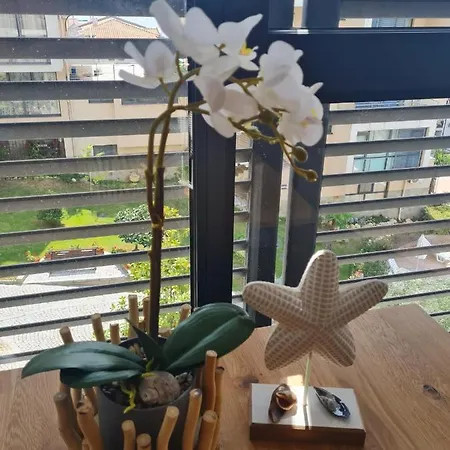 Dolce 2, Apartament Sveti Vlas