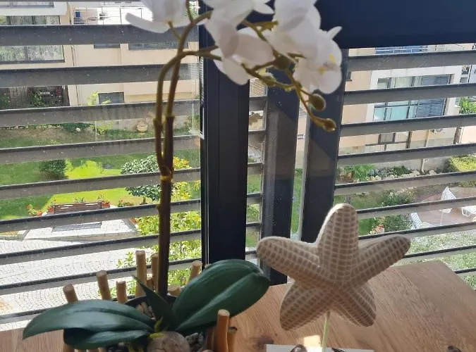 Dolce 2, Апартамент Свети Влас