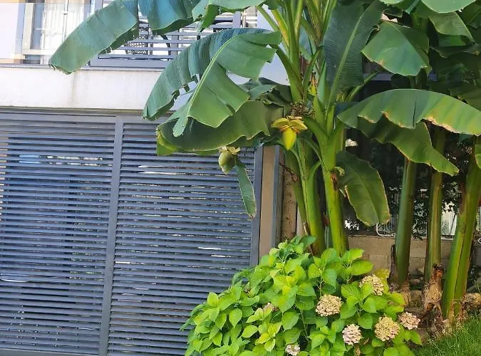 Dolce 2, Апартамент *